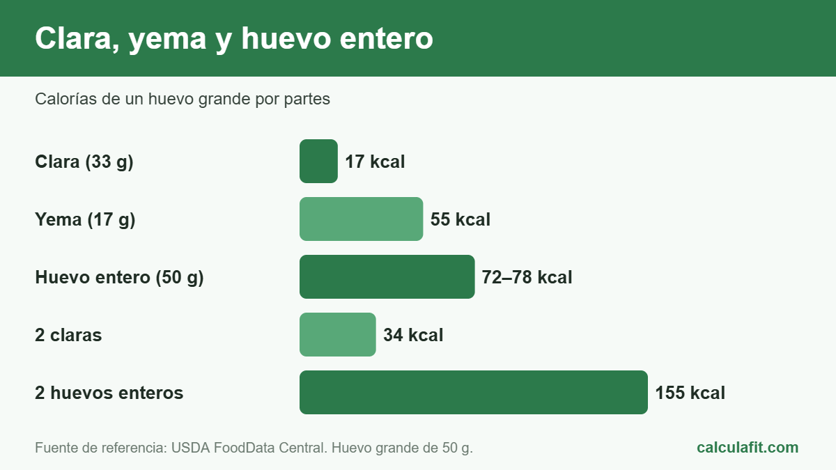 ¿Cuántas Calorías Tienen 2 Huevos? Tabla Esencial 5 Calorías de la clara, la yema y el huevo entero